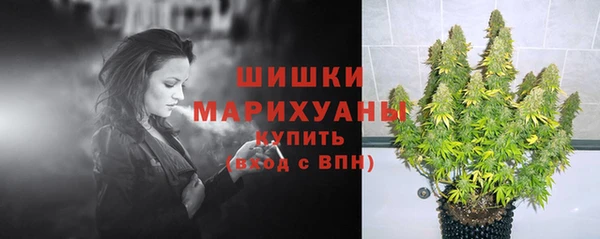 дурь Арсеньев