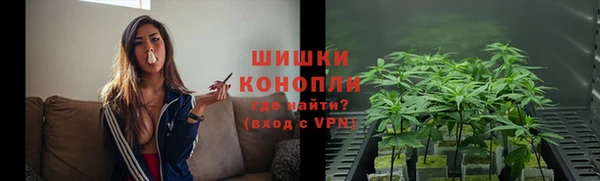 дурь Арсеньев