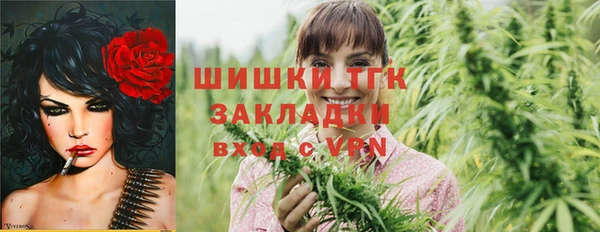 дурь Арсеньев
