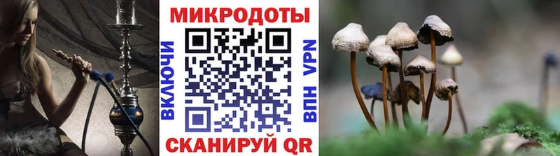 Псилоцибиновые грибы Cubensis  Усолье-Сибирское 
